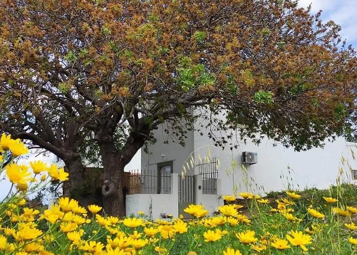 Traditional Suburbs Maisonette بيت للعطل